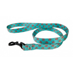 Correa Red Star Para Perros