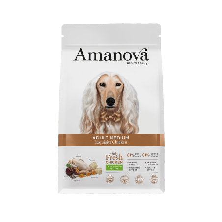 Amanova Adult Medium Exquisite Chicken