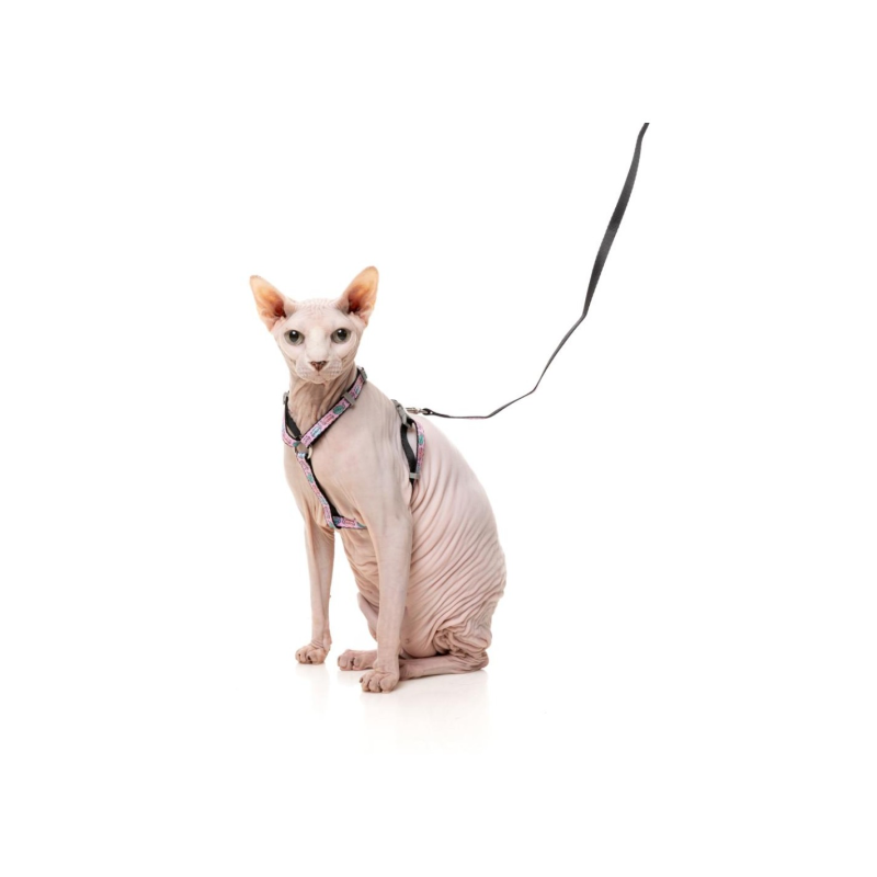 Arnés de Paseo FuzzYard  Cat Set - Meowcarons