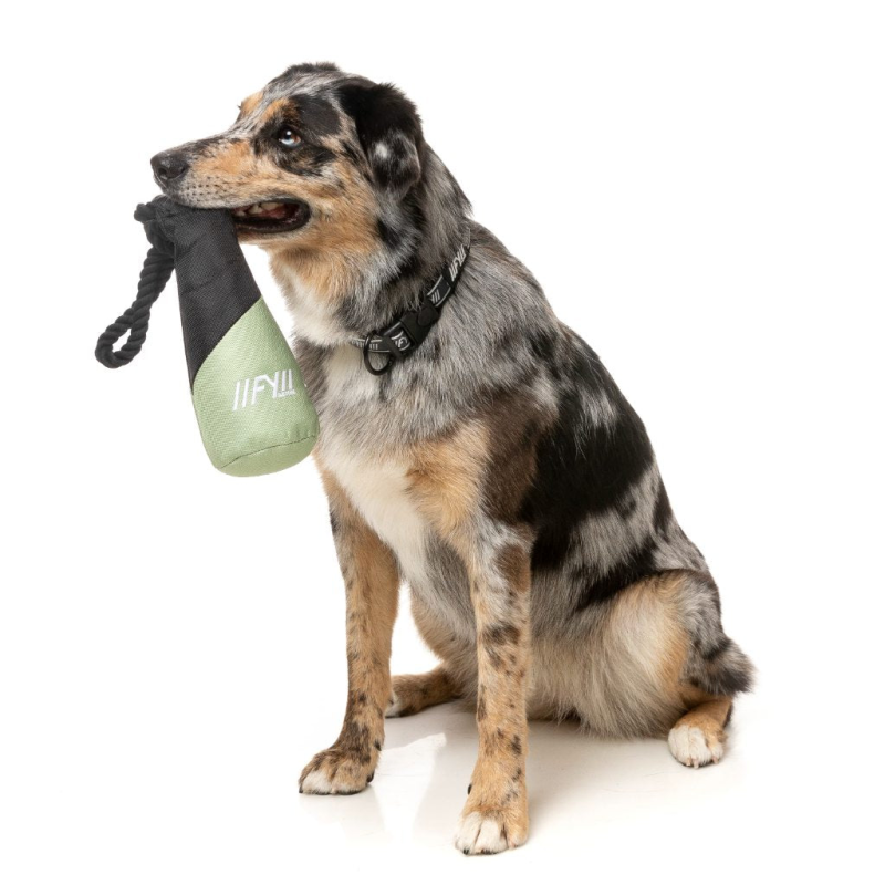 FY Active Dog Toy - Fetch N Float - Khaki