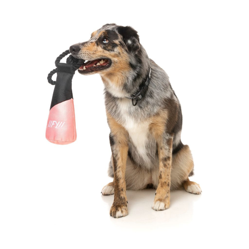 FY Active Dog Toy - Fetch N Float - Peach
