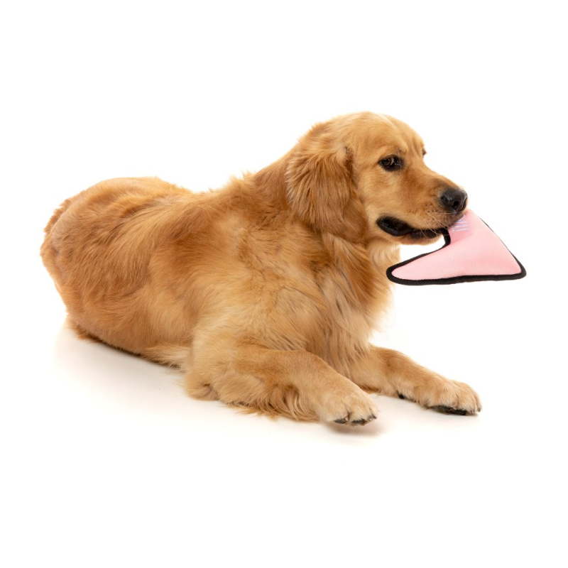 FY Active Dog Toy - Flyer - Peach
