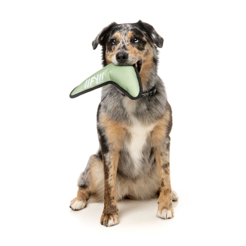 FY Active Dog Toy - Flyer - Khaki