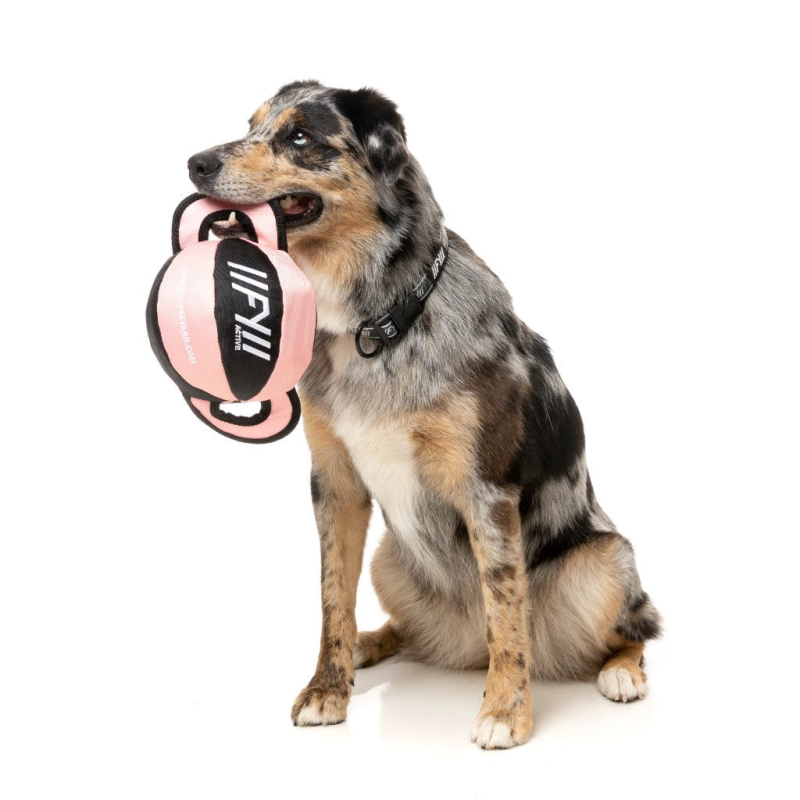 FY Active Dog Toy - Ball Tug - Peach