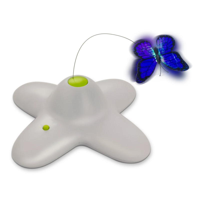 AFP Interactive Flutter bug