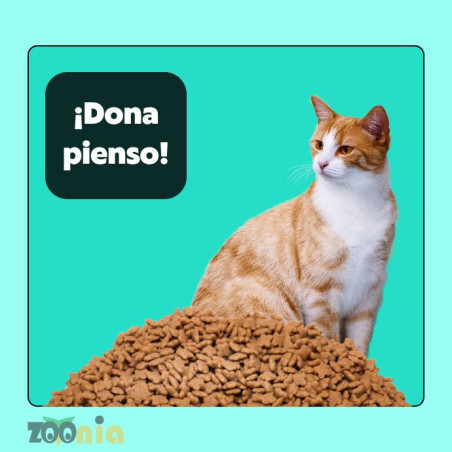 Dona Desde 1kg. De Pienso Para Gatos
