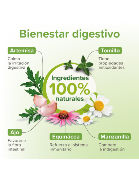 Beaphar VERMIpure Repelente Interno Natural en comprimidos para perros +15kg