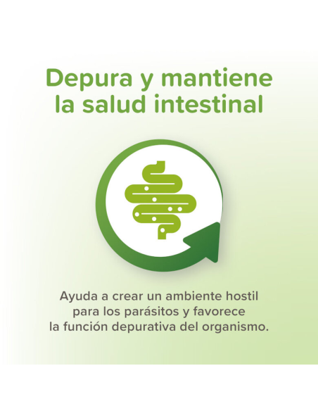 Beaphar VERMIpure Repelente Interno Natural en comprimidos para perros pequeños y cachorros