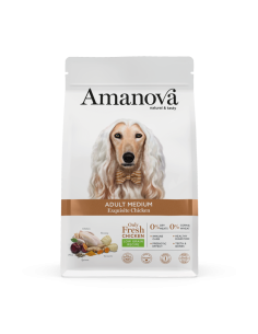 Amanova Dog Adulto Medium Exquisite Chicken