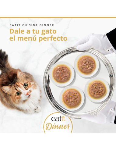 Catit Cuisine Dinner de Pollo con Salmón 75gr