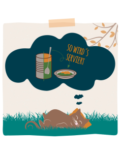 MjAMjAM - Dueto - Filete de salmón besa pollo 190gr 2