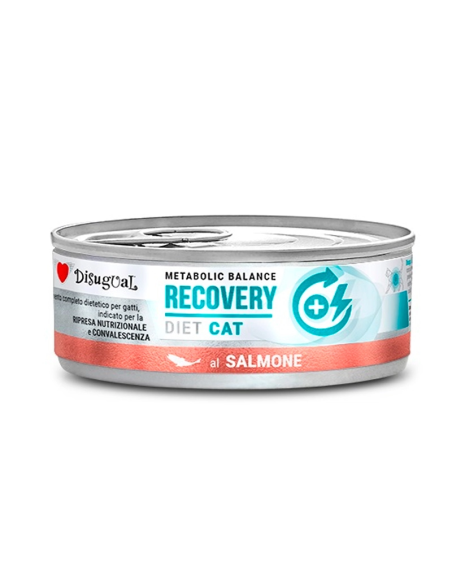 Disugual Diet Lata Recovery de Salmon para Gatos 85 gr