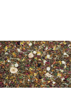 Versele Laga Nature Original Chinchillas 750gr 2