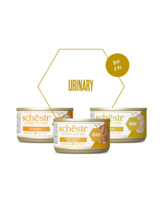 Schesir urinary multipack 3x80gr 2