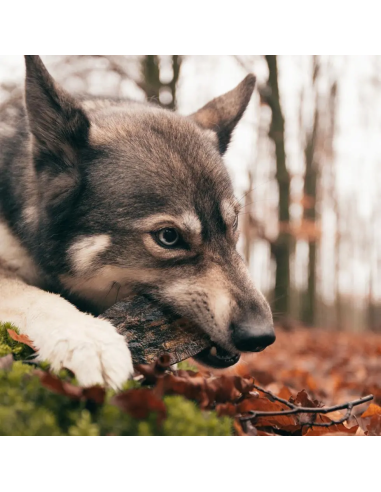 Cuerno vikingo giratorio