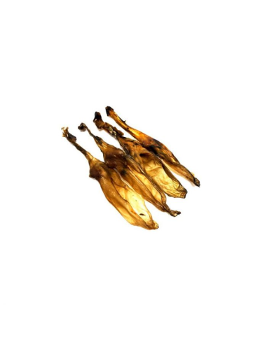 Fresh raw oreja conejo