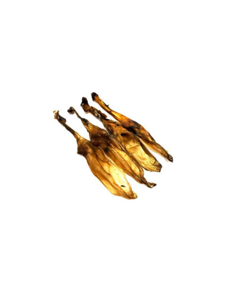 Fresh raw oreja conejo
