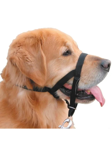 BOZAL EASY LEADER NOBBY 4