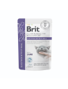 Brit GASTROINTESTINAL Gravy Cordero para gatos 85gr