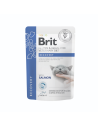 Brit RECOVERY Gravy Salmón para gatos 85gr