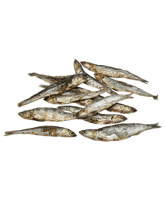 Boquerón Deshidratado 2