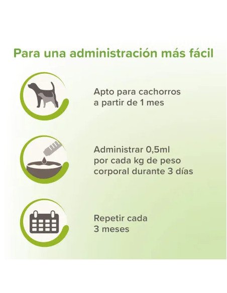 Beaphar VERMIpure Solución Líquida Natural para Gatos y gatitos