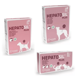 Hepatosil Plus