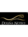Dolina