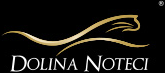 Dolina